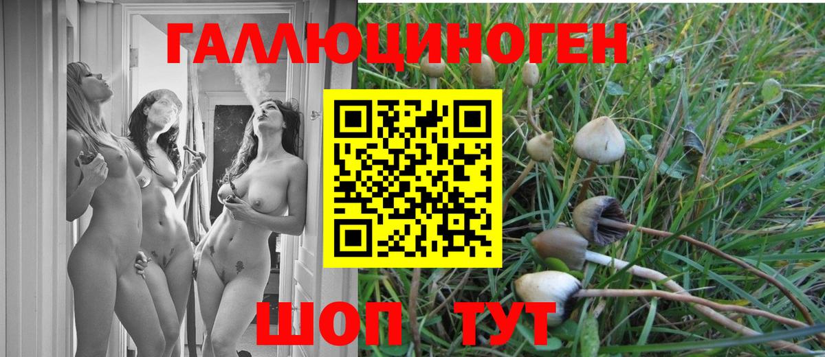 Саратов  Галлюциногенные грибы MAGIC MUSHROOMS  что такое   Вход с VPN 